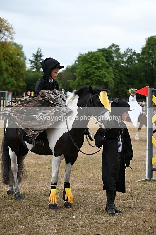 WJ6_8952 - Class 11 Fancy Dress