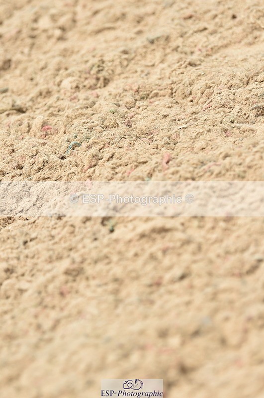 230611A-141422-06256 - Cls 36 Newcomers