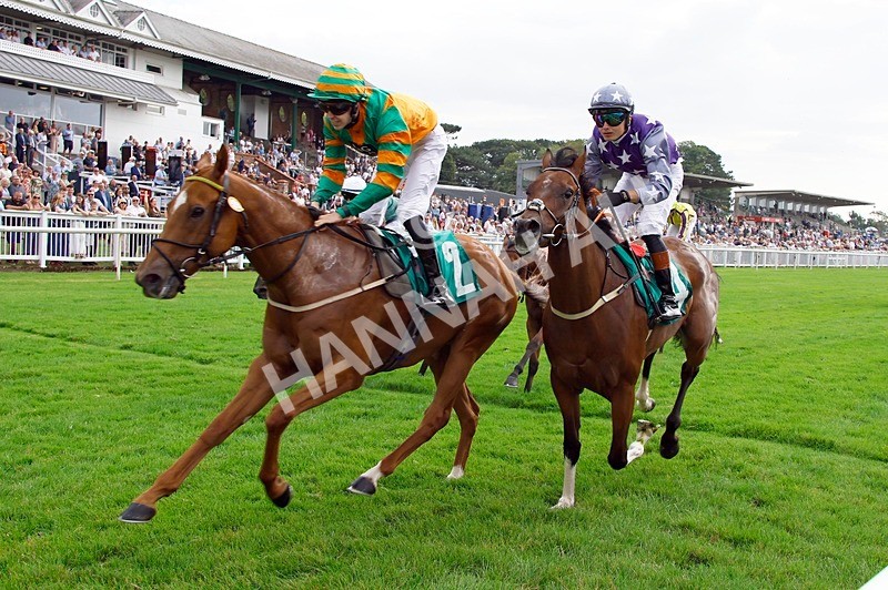 250725-Race 6-Irish Dancer-88888 - Race 6