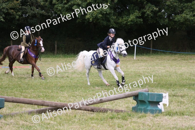 20260614-4159 - Class 24 - Mini and Major Pairs Jumping