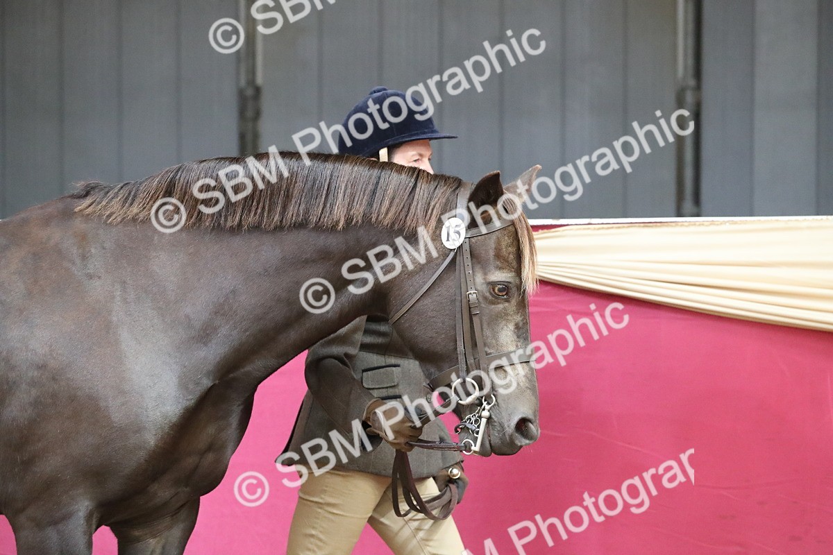 SBM_15095 - Class 501 M&M IH Supreme Final