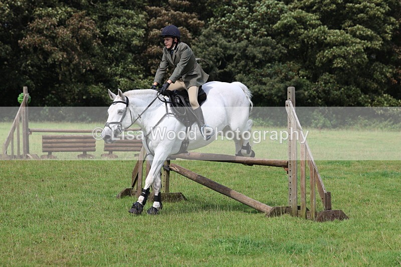 3E7A5977 - Class 28: 75cm Working Hunter