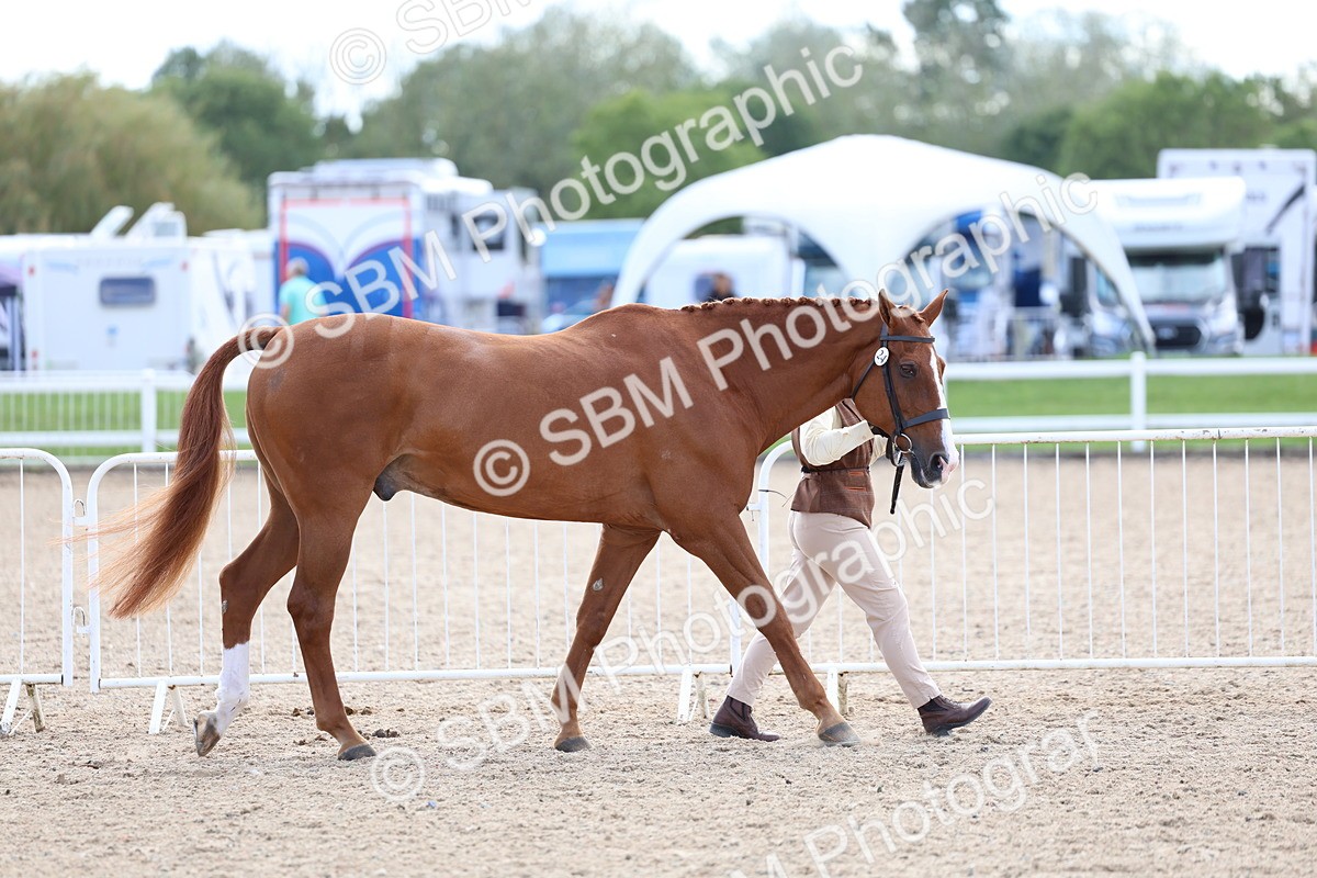 SBM_15316