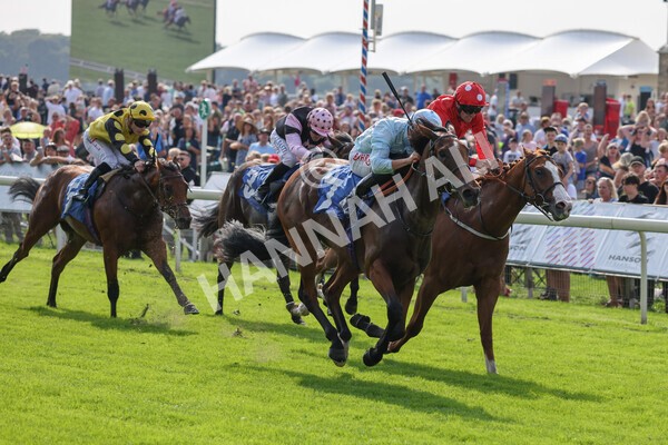 yr05092021r1-23 - Race 1 2.10pm IRE-Incentive It Pays To Buy Irish ebfstallions.com Novice Stakes