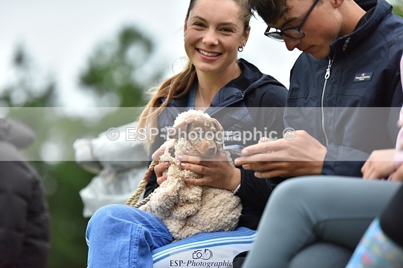 240523-193522-06598 - Candid and Saturday Hobby Horse