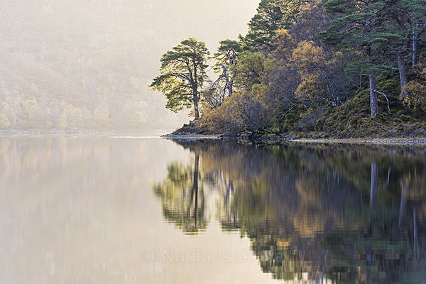  - Scotland, UK