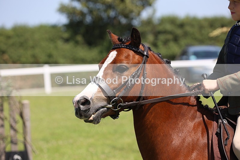 JPP_2255 - Class 20: Tiny Tots Working Hunter Pony