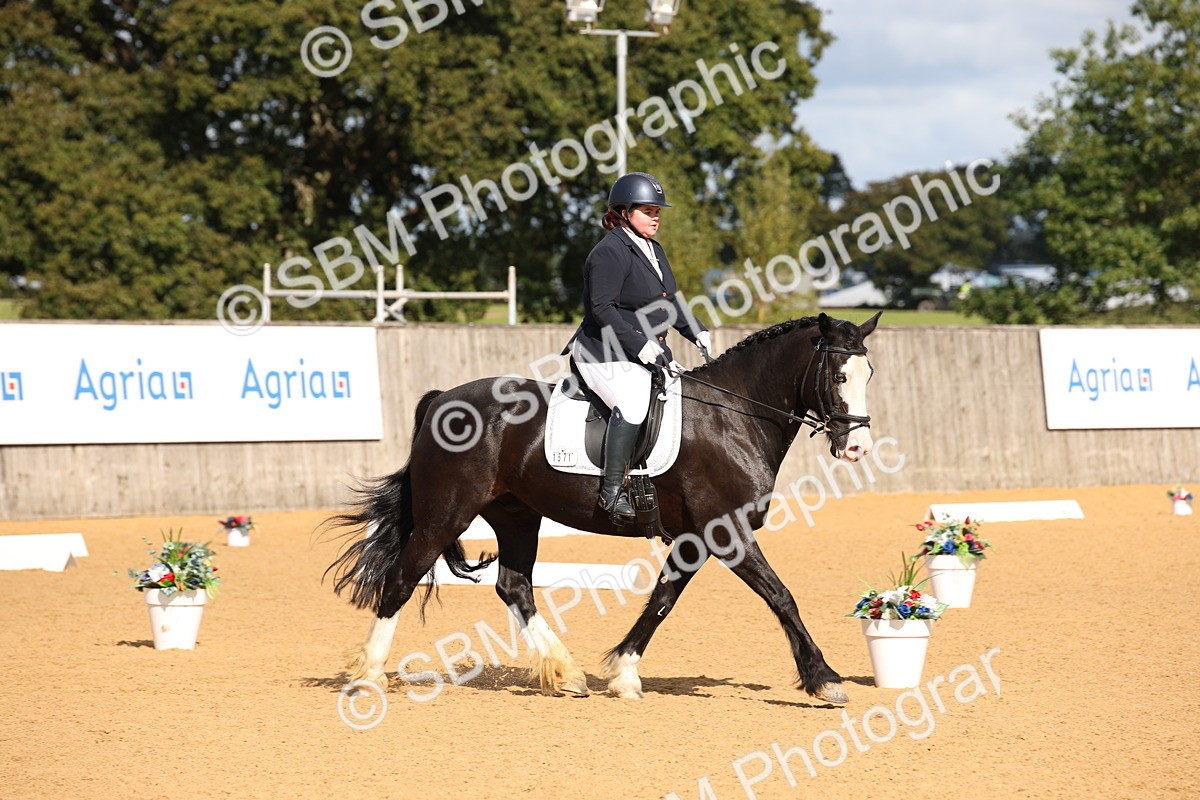 SBM_04185 - D2 Small Tour Championship Intro C