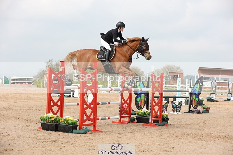 250424-110354-03365 - Cls 33 Young Horse 7yr old