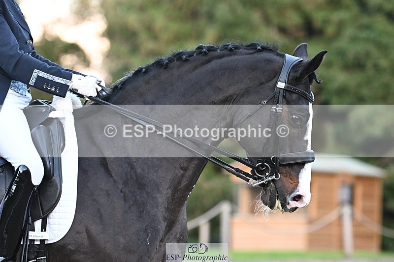 231110-160214-02423 - Cls 11 FEI PSG