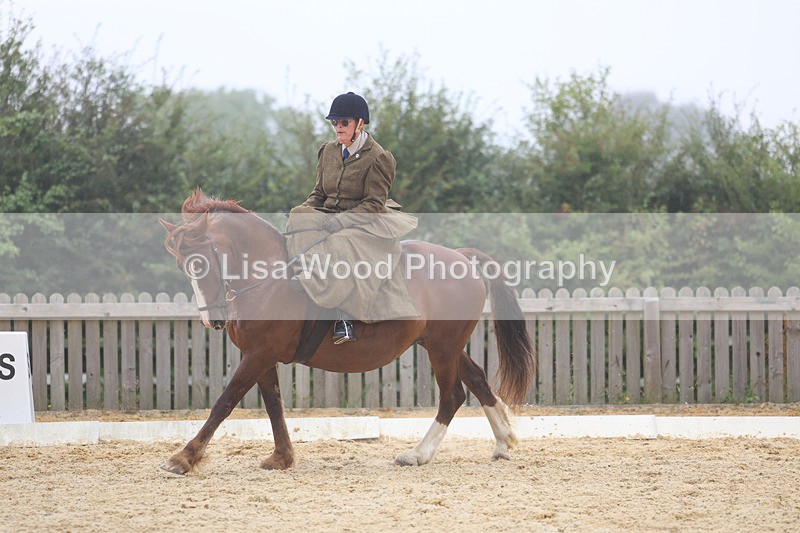 3E7A6894 - Class 5: Prelim to Music