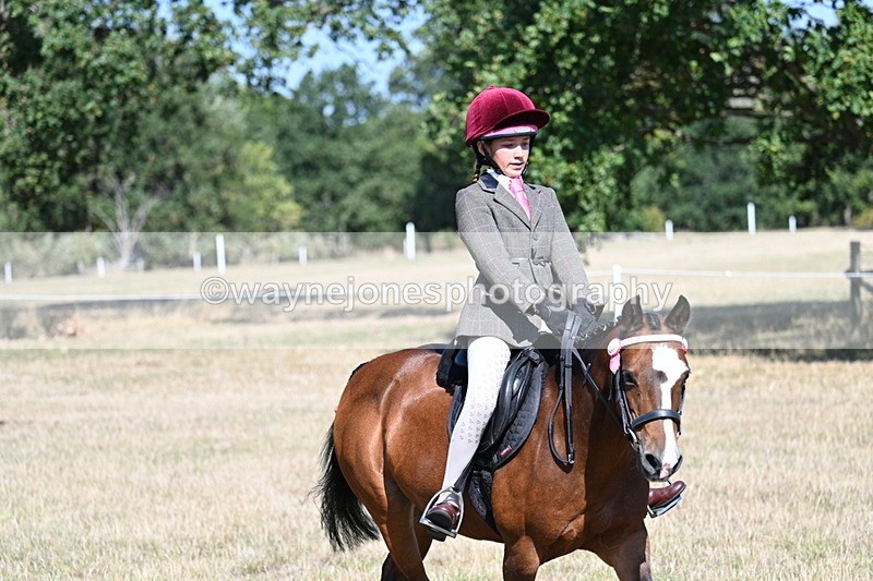 WJ7_4083 - Class 9 Mountain & Moorland Ridden