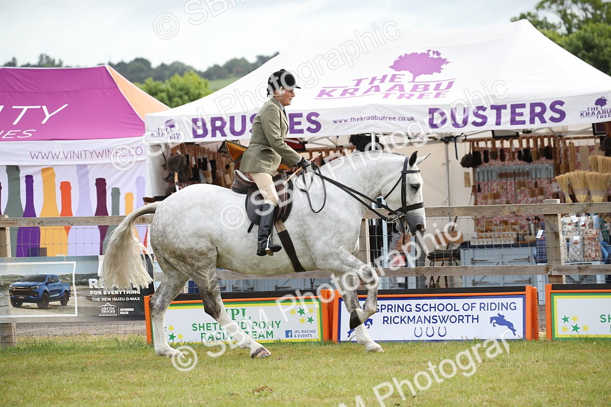 SBM_11227 - Class 92-93 - LIHS BSHA Rising Star Cobs