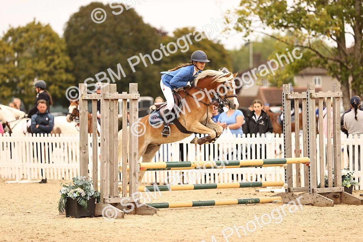 SBM_72611 - J14 - Junior Pony 65cm Championship