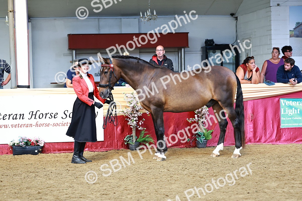 SBM_22360 - Class 902 - Supreme Final - IH Diamond