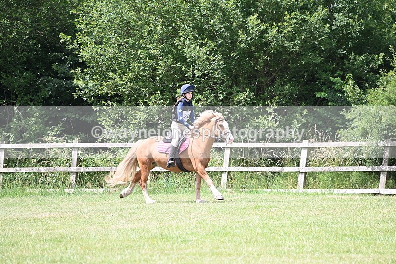 WJ6_6855 - 80cm XC Pairs