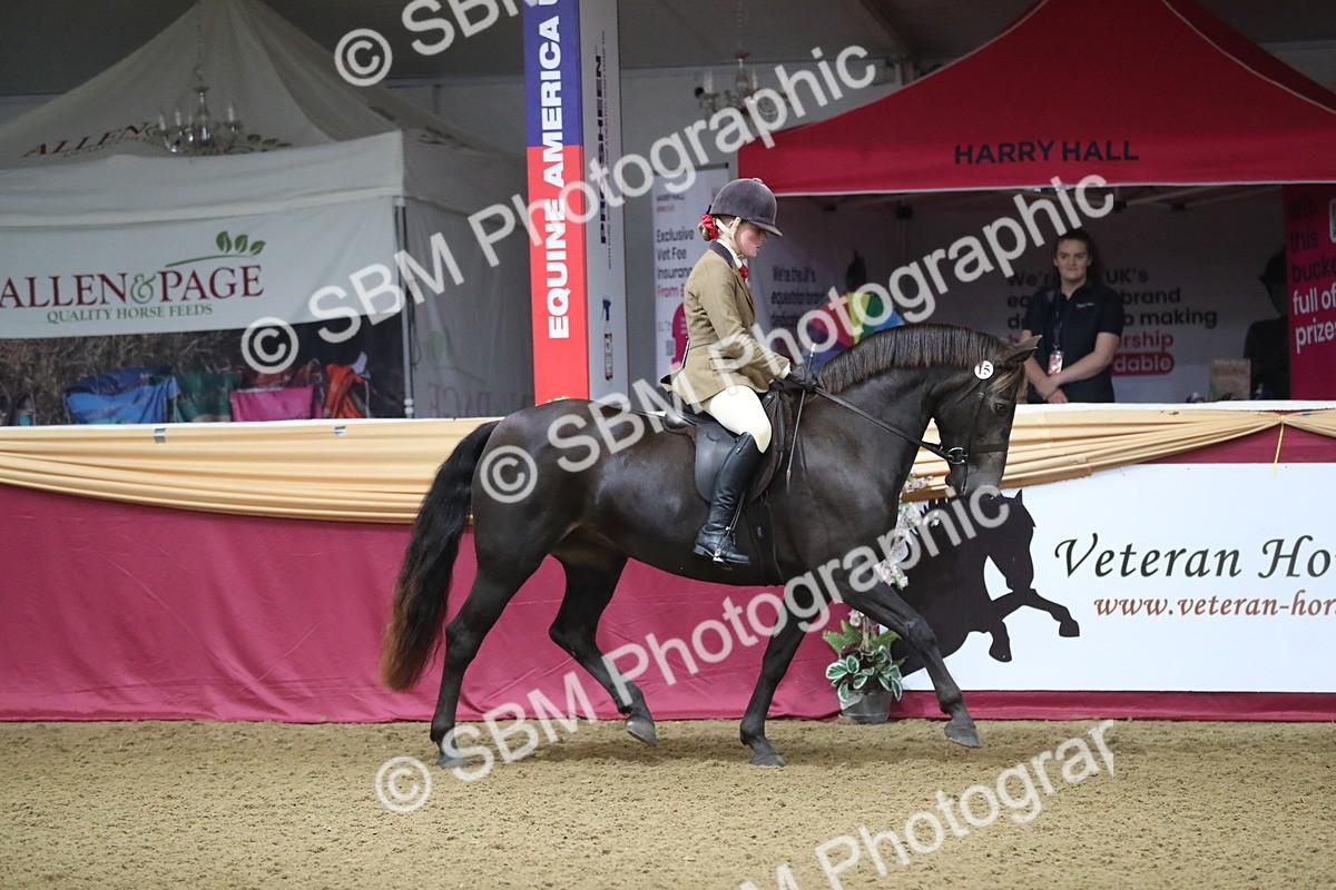 SBM_09237 - Class 101 Equitation (best rider), Junior