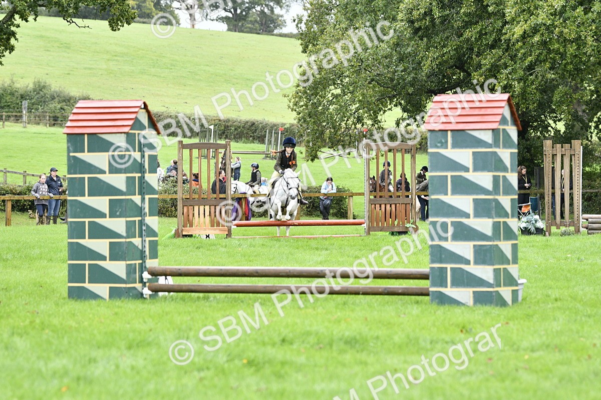 SBM_35453 - S30 - Nursery Stakes Working Hunter Pony