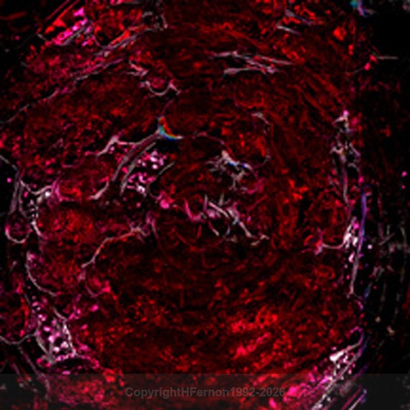 RSVP - RED 1996 - ONLINE DOMAIN 1992-1996