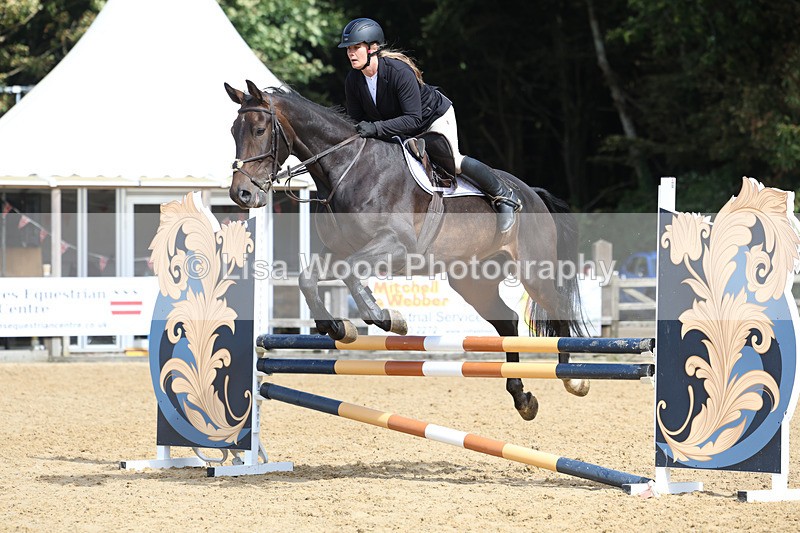 3E7A9136 - Class 9: Senior British Novice/90cm open