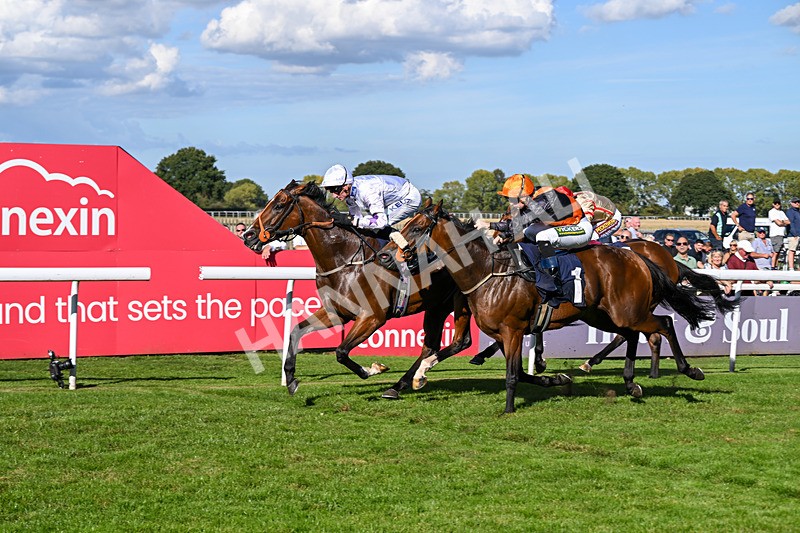 220926-Race 4-Toca Madera-4023 - Race 4 3.15pm Eddie And Violet Smith Conditions Stakes