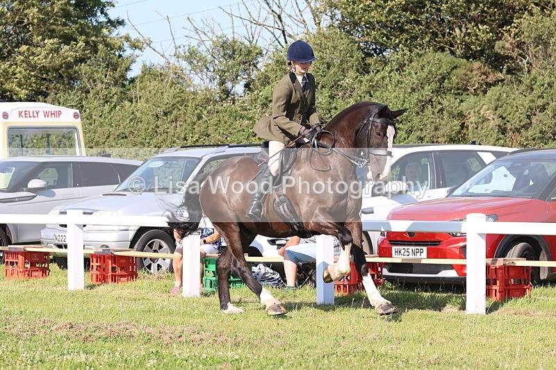JPP_1322 - Class 18: Cornish Combination Young Rider