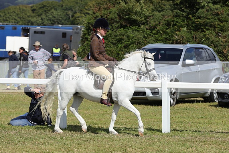 1X9A5652 - Class 40: NPS Welsh A & B