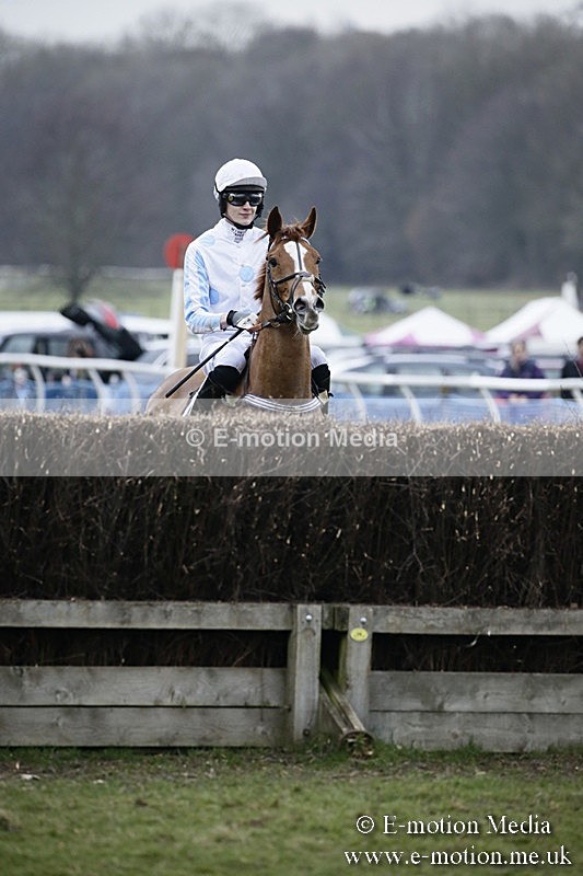 PtP 110318 526 - Hampshire Hunt Point-to-Point Hackwood Park 11/03/18