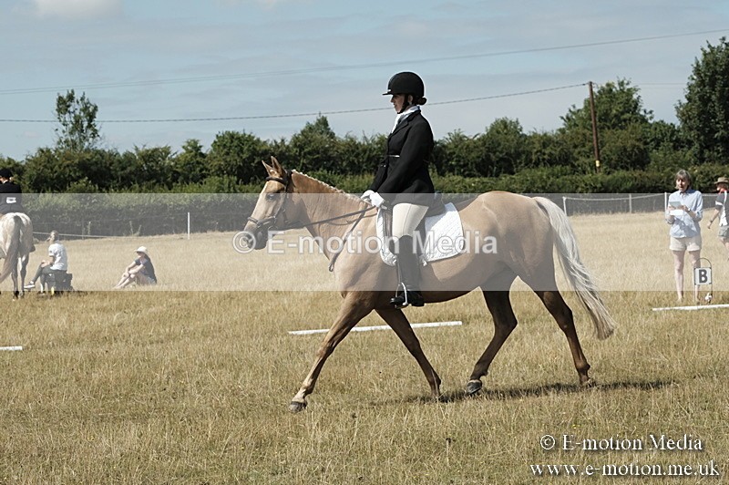 _PJP5801 - Dressage Classes BVRC Show 2018