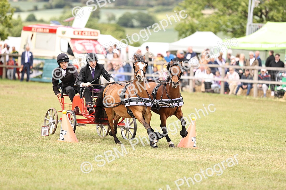 SBM_16106 - Class 91 - Scurry  exceeding 122cms