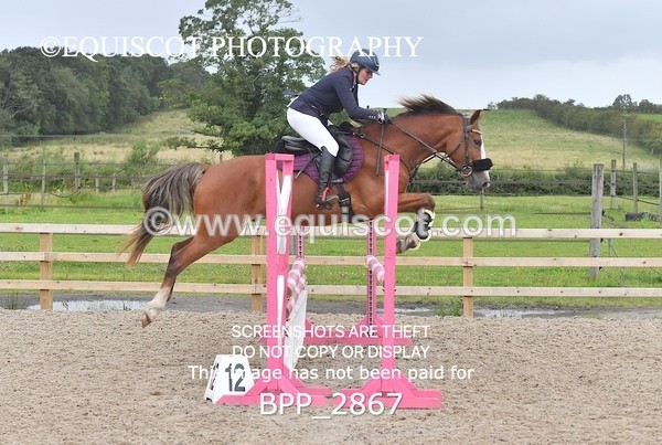 BPP_2867 - CLASS 2 Club/ Unaffiliated 80cms Open