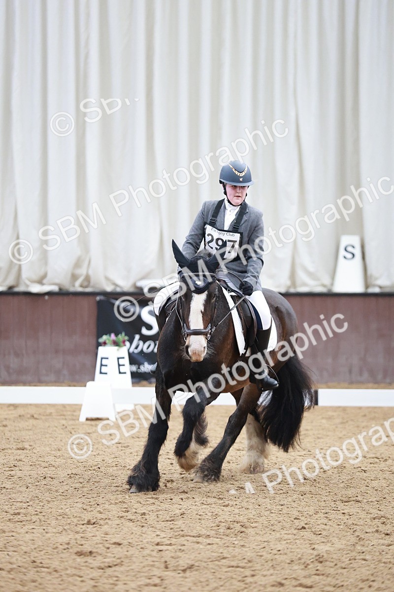 SBM_003852 - Class 2 - Novice 2020