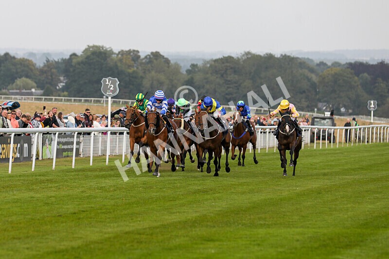 310824-Race 8-This Years Love-2342 - Race 8