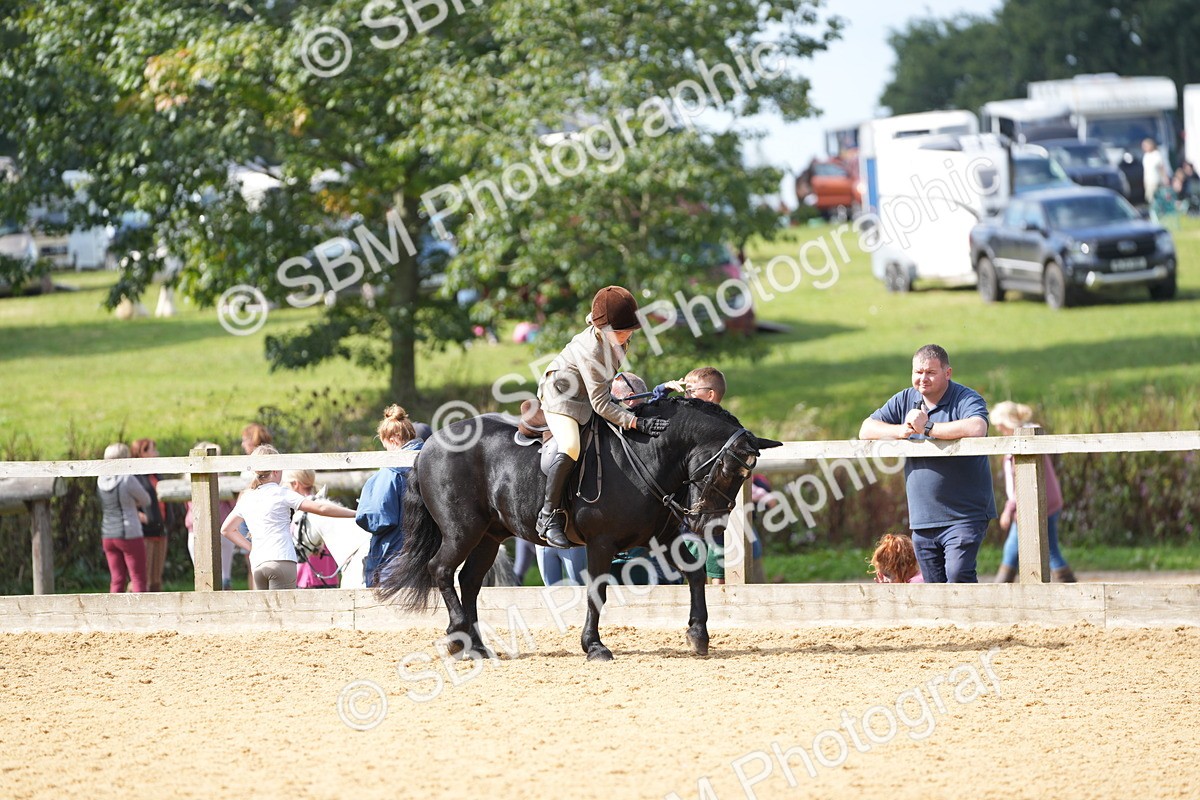 SBM_64587 - J2 - Mini Tour Junior Pony 30cm Championship