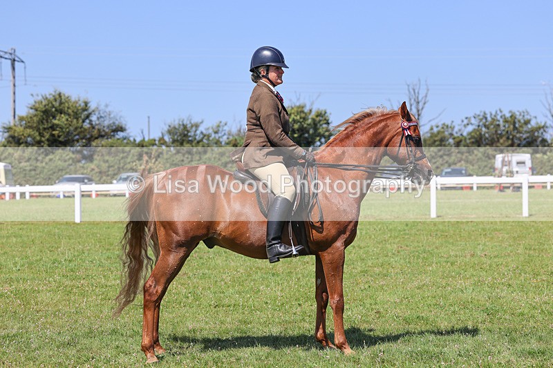 IMG_2231 - Class 37: Pure, Anglo & Part Bred Ridden Arab
