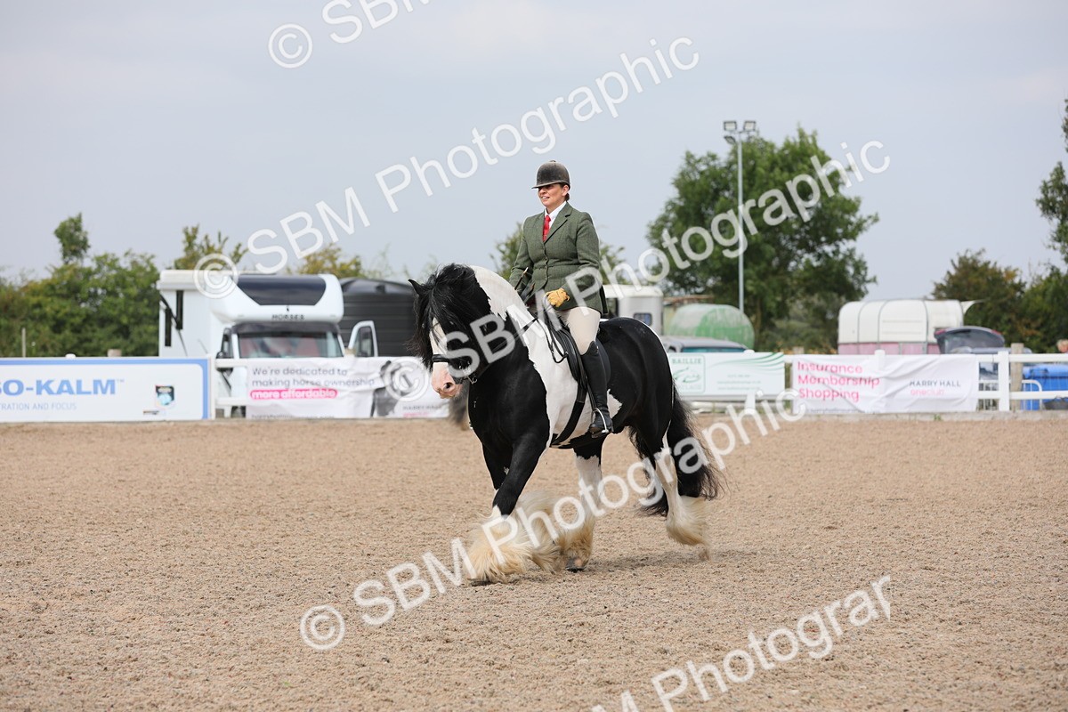SBM_12696 - Class 307 Ridden Coloured Pony