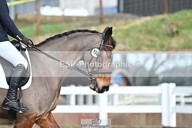 250125-122548-00436 - Dressage - CT Class 6 BE102