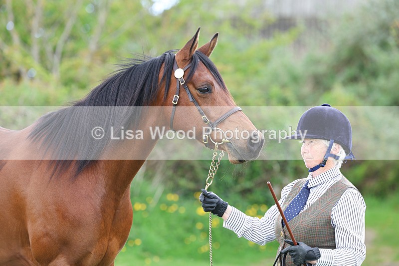 3E7A0876 - In Hand Championship