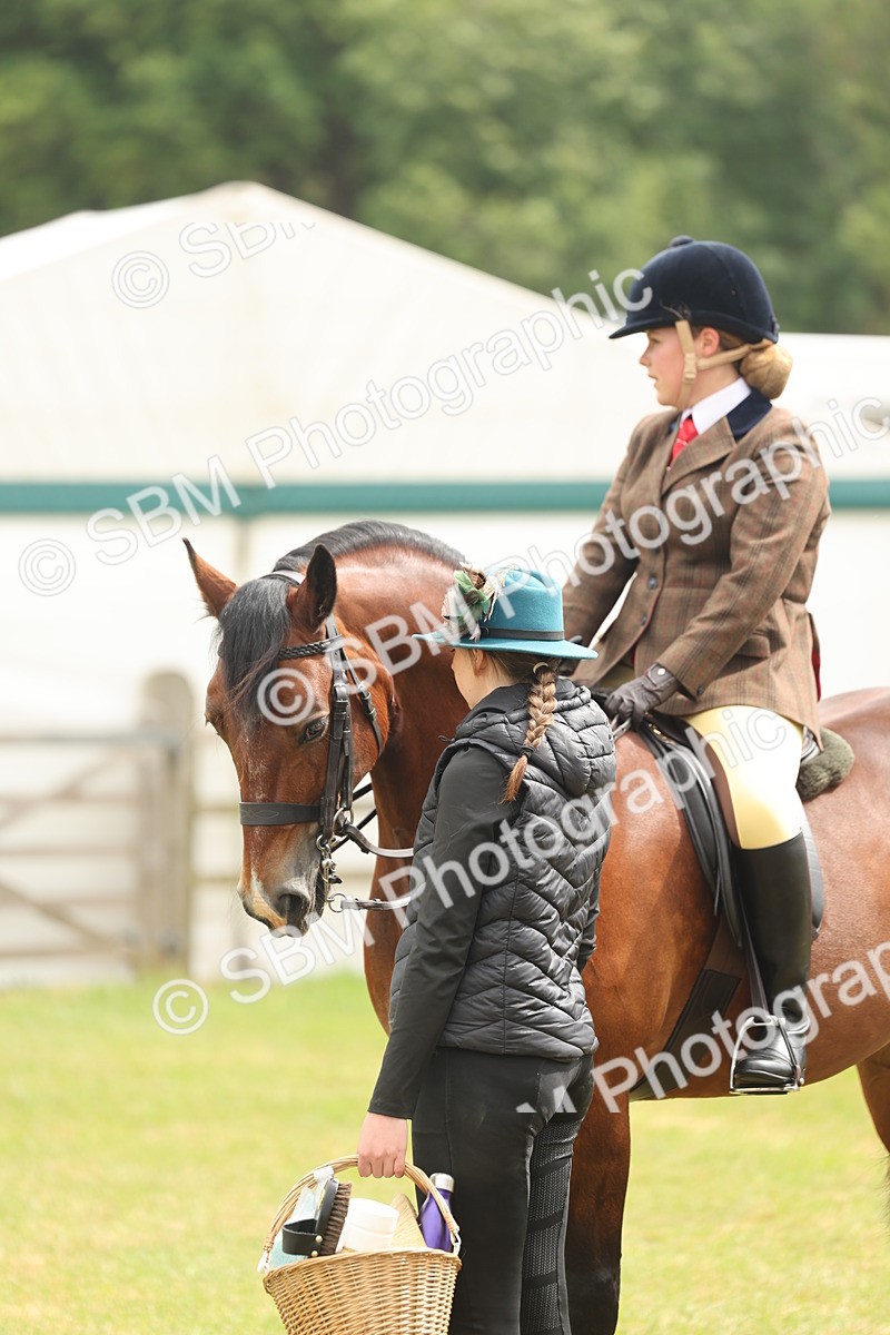 SBM_07218 - Class 76-77 - Ridden M&M Welsh Ponies
