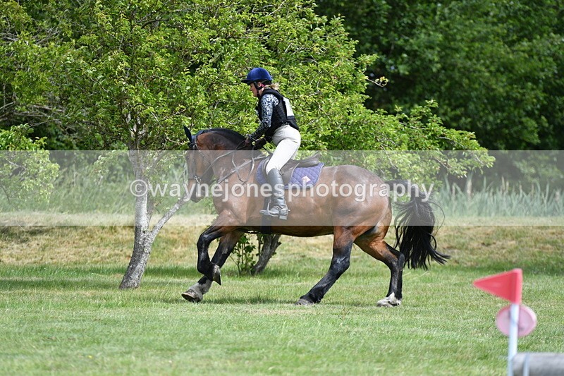 WJ5_2798 - Class 3 60cm Pairs