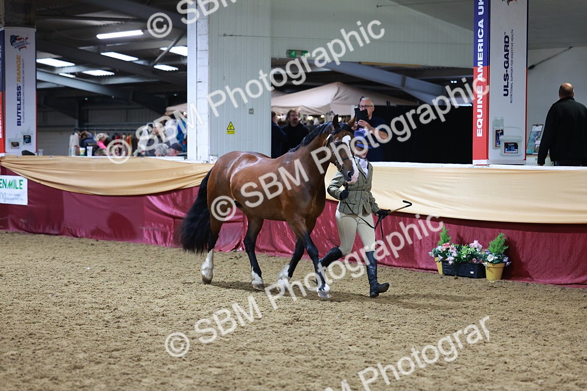 SBM_20396 - Class F - IH Small (148cm & Under)Champ