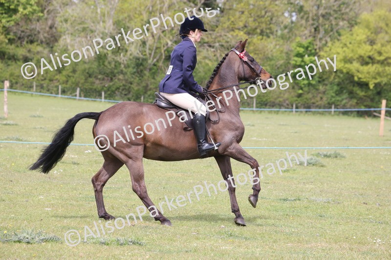 20260426-2991 - Class 33 - Best Pony 14.2hh and Under