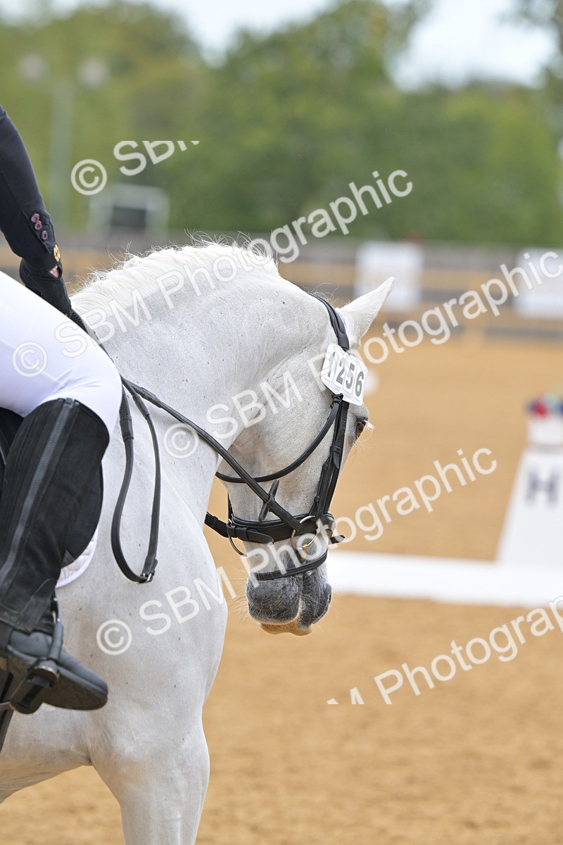 SBM_03838 - D2 - Small Tour Championship Intro 2