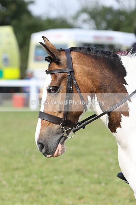JPP_0852 - Class 16: Cornish Combination Young Rider