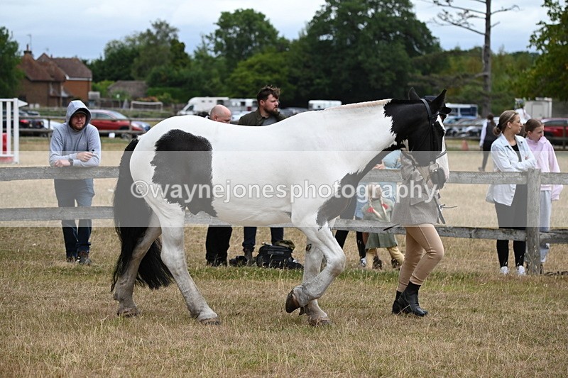 WJ6_8363 - Class 10 Coloured in Hand