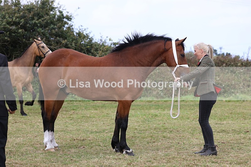 3E7A4431 - Class 15: Three Year Olds