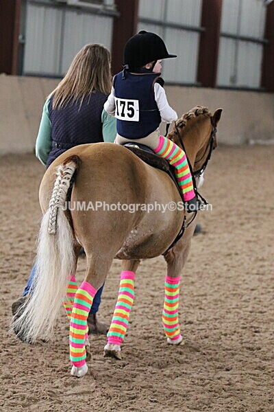 SIAL5602 - Neighfield Pony Show April 2025