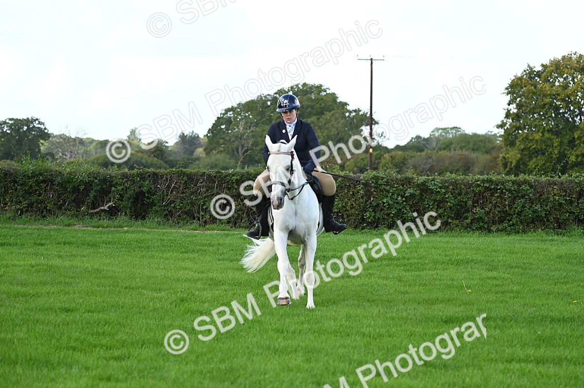 SBM_01698 - S2 - TSR Ridden Horse Showing