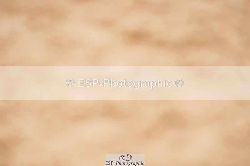 240524A-123708-03588 - Cls 15 Foxhunter
