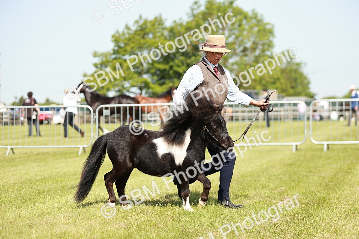 SBM_01902 - Class 14-23 - Mountain & Moorland In Hand Non Welsh